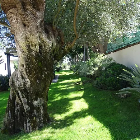 La Casetta Al Maneggio